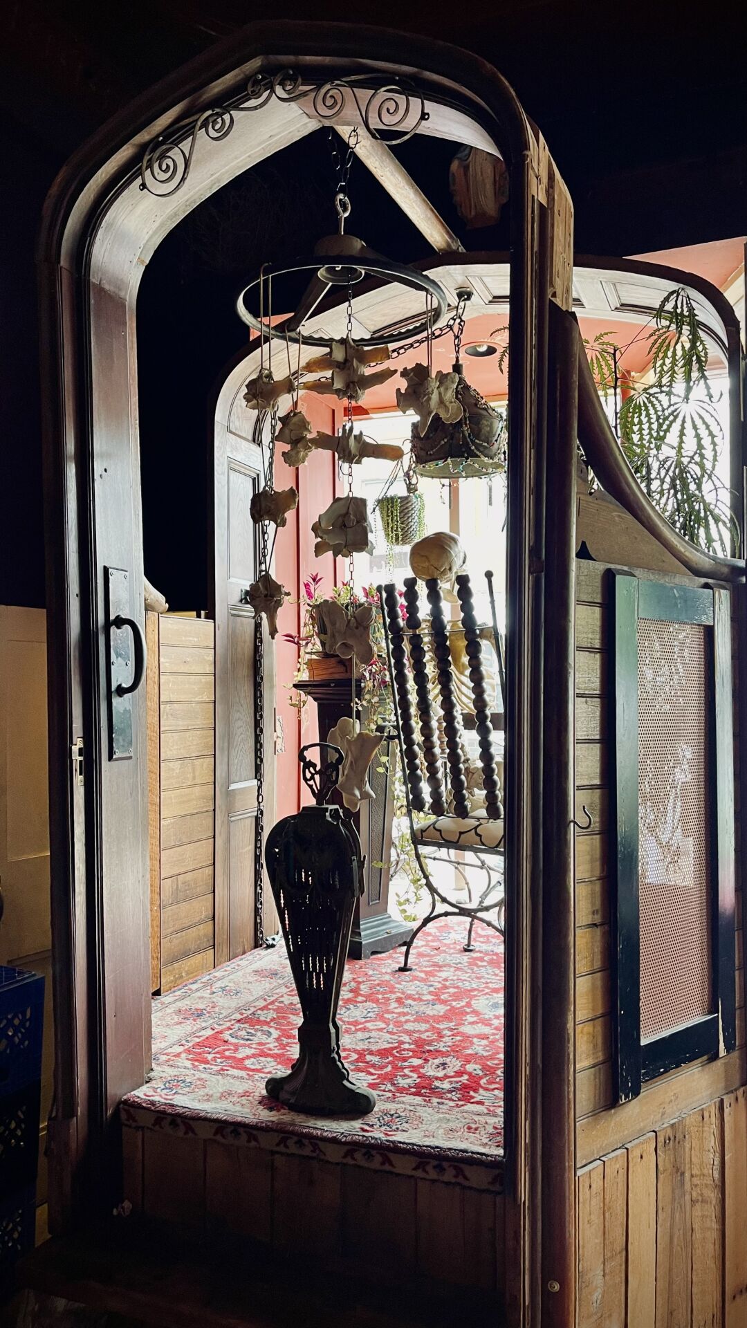 Skeleton window fortune teller bar